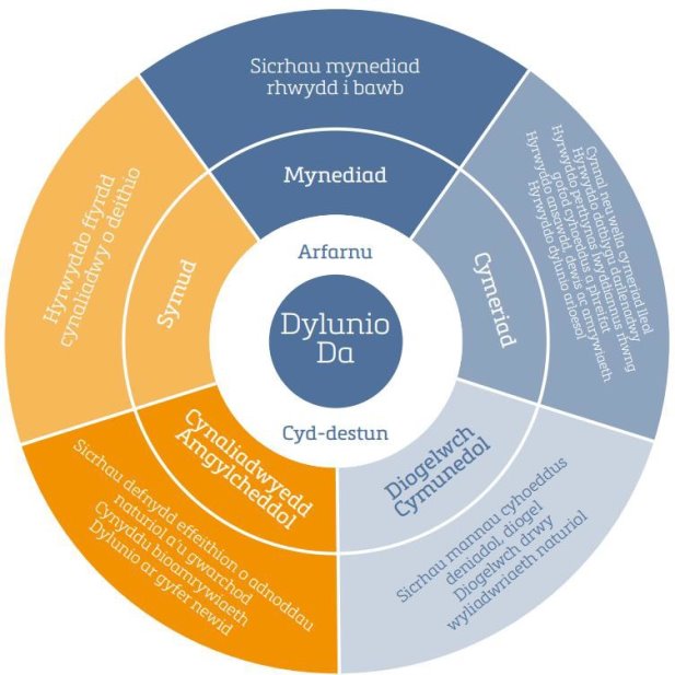 Llun yn cynnwys testun, cryno ddisg, dyfais storio data, cylch  Gall cynnwys a gynhyrchwyd gan AI fod yn anghywir.